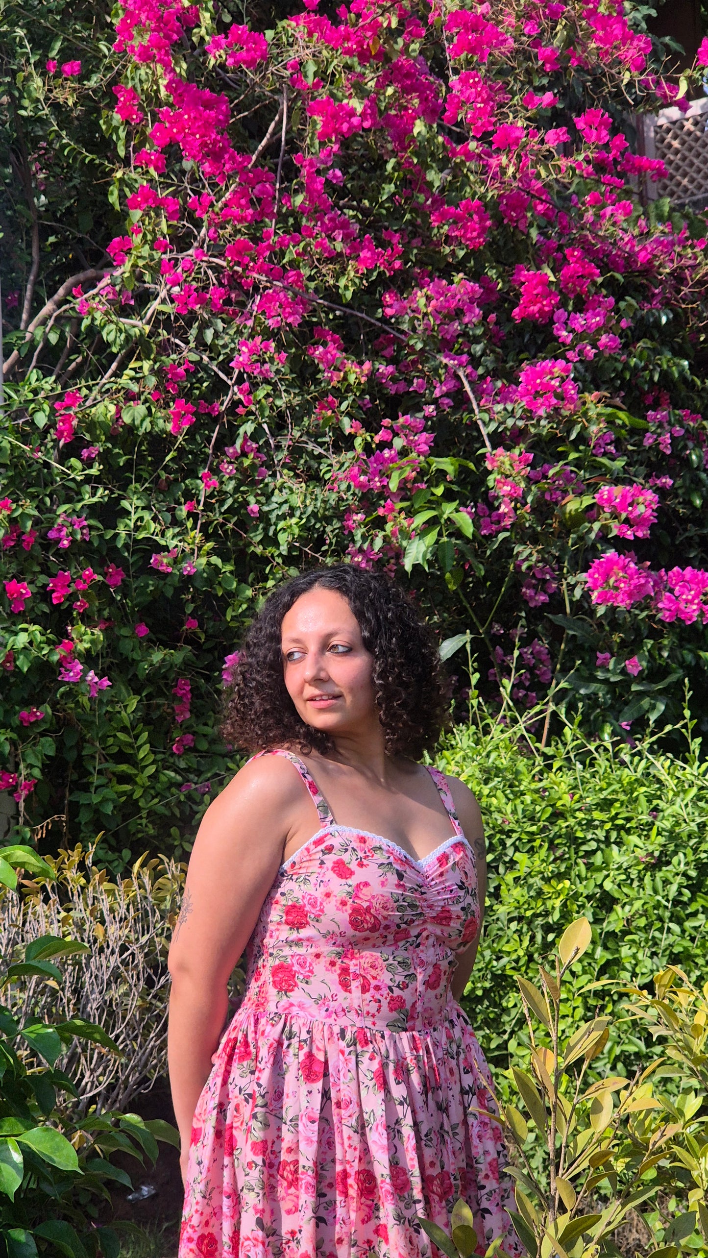 The Sara Dress